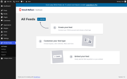 Page screenshot: TikTok Feeds