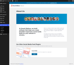 Page screenshot: TikTok Feeds &rarr; About Us