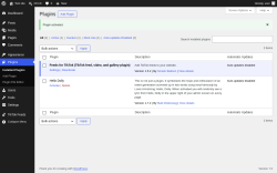 Page screenshot: Plugins &lsaquo; Test site &mdash; WordPress