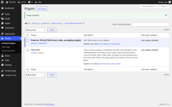 Page screenshot: Plugins &lsaquo; Test site &mdash; WordPress