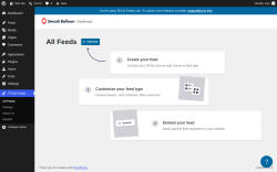 Page screenshot: TikTok Feeds