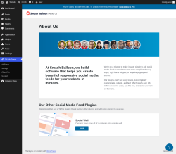 Page screenshot: TikTok Feeds &rarr; About Us