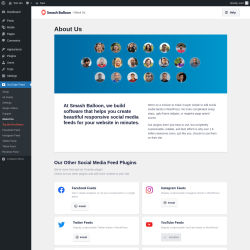 Page screenshot: YouTube Feed &rarr; About Us