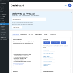 Page screenshot: Feedzy