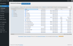 Page screenshot: File Manager
