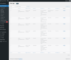 Page screenshot: File Manager &rarr; File Logs