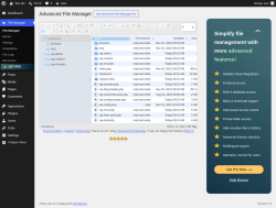 Page screenshot: File Manager