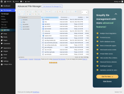 Page screenshot: File Manager