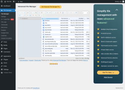Page screenshot: File Manager