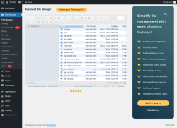 Page screenshot: File Manager