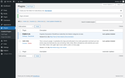 Page screenshot: Plugins &lsaquo; Test site &mdash; WordPress