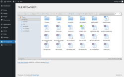 Page screenshot: File Organizer