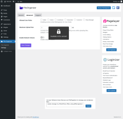 Page screenshot: File Organizer &rarr; Settings &rarr; Advanced