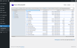 Page screenshot: File Organizer