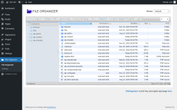 Page screenshot: File Organizer