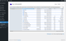 Page screenshot: File Organizer