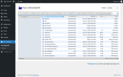 Page screenshot: File Organizer