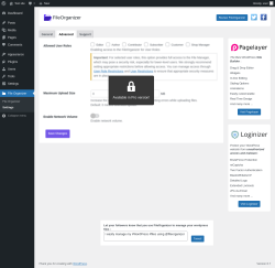 Page screenshot: File Organizer &rarr; Settings &rarr; Advanced