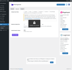 Page screenshot: File Organizer &rarr; Settings &rarr; Advanced