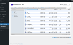 Page screenshot: File Organizer