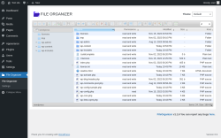 Page screenshot: File Organizer