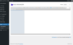 Page screenshot: File Organizer
