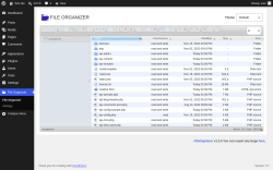Page screenshot: File Organizer