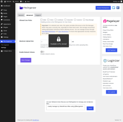 Page screenshot: File Organizer &rarr; Settings &rarr; Advanced