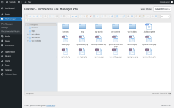 Page screenshot: File Manager