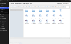 Page screenshot: File Manager