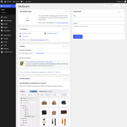 Page screenshot: Dashboard &lsaquo; Test site &mdash; WordPress