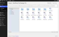 Page screenshot: File Manager