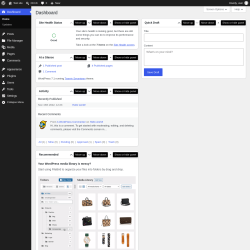 Page screenshot: Dashboard &lsaquo; Test site &mdash; WordPress