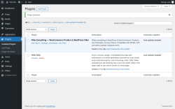 Page screenshot: Plugins ‹ Test site — WordPress