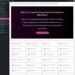 Page screenshot: Xpro Addons → Go Pro