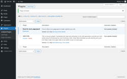 Page screenshot: Plugins &lsaquo; Test site &mdash; WordPress