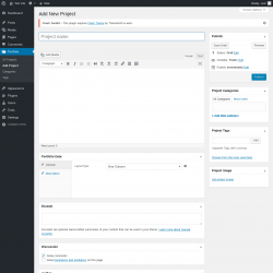 Page screenshot: Portfolio → Add Project