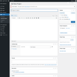 Page screenshot: Portfolio → Add New Project