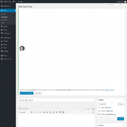Page screenshot: Add New Post ‹ Test site — WordPress