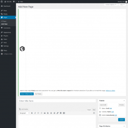 Page screenshot: Add New Page ‹ Test site — WordPress