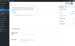 Page screenshot: Add New Page ‹ Test site — WordPress