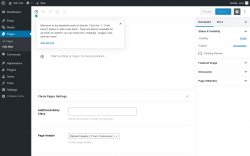 Page screenshot: Add New Page ‹ Test site — WordPress
