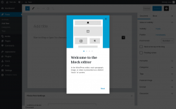 Page screenshot: Add New Post ‹ Test site — WordPress