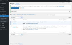 Page screenshot: Plugins ‹ Test site — WordPress