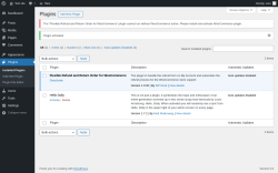 Page screenshot: Plugins &lsaquo; Test site &mdash; WordPress