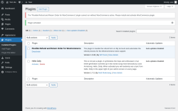 Page screenshot: Plugins &lsaquo; Test site &mdash; WordPress