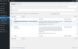 Page screenshot: Plugins &lsaquo; Test site &mdash; WordPress