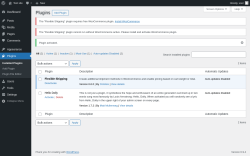 Page screenshot: Plugins &lsaquo; Test site &mdash; WordPress