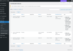 Page screenshot: Tools &rarr; Scheduled Actions