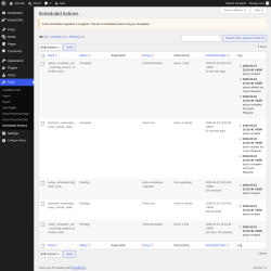 Page screenshot: Tools &rarr; Scheduled Actions